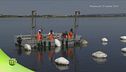 Coltivatori di mare
