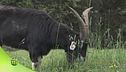 Progetto montagna