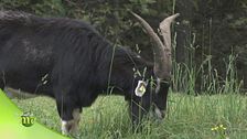 Progetto montagna