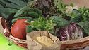 Fattoria Bio