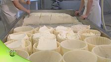 Prodotti ottenuti dalla pezzata rossa
