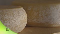 Il formaggio "U Cabannin"