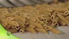 La lavorazione del grano biologico