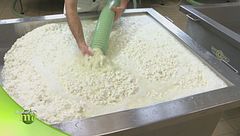 La trasformazione del latte di bufala