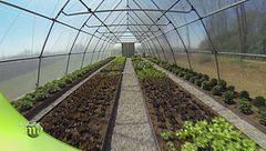 Dall'orto alla tavola