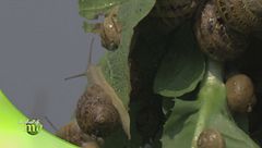 Rivincita agricoltura