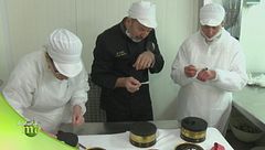 Il Caviar Master: lavora e produce il caviale