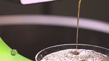 L'olio di semi di girasole