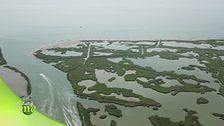 Il parco del Delta del Po