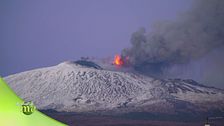Il territorio del fico d'India dell'Etna DOP