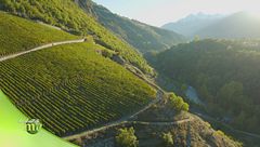 Terre da conquistare