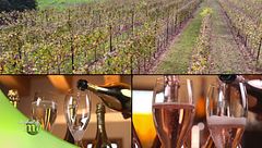 Puntata del 25 dicembre