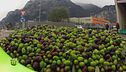 La lavorazione delle olive al frantoio