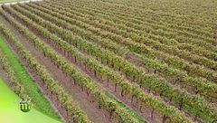 Bottega del prosecco