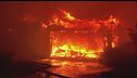 Inferno di fuoco a Los Angeles