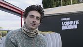 Timothee, l'icona che ama Roma