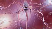 Scoperto il gene dell'Alzheimer