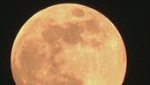 Anche la Luna è in pericolo