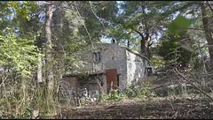 Edizione ore 12.25 del 30 novembre