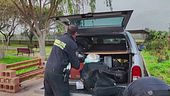 Lanzarote, incastrato dai video