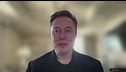 Musk, "L'Europa torni grande"