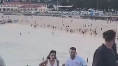 Edizione ore 12.25 del 14 dicembre