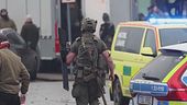 Svezia, 4 fucili per una strage