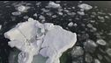 Polo nord, il ghiaccio si scioglie