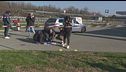 Ferisce poliziotti a martellate