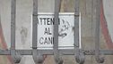 Il pitbull aveva già aggredito