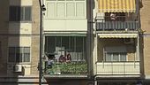 Bimba sbranata, il padre indagato