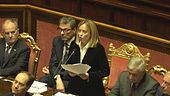 "Senza difesa non c'è sicurezza"