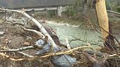 Piogge e frane, è ancora allerta