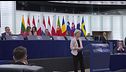 Scattano i dazi, l'Europa reagisce