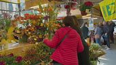 La Pasqua in fiore costa 80 milioni