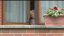 Papa Francesco, l'incontro con i parenti italiani
