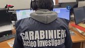 Falsi uliveti per avere i soldi Ue