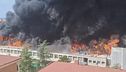 Viterbo, un rogo devasta l'ateneo