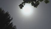 Caldo, in arrivo la prima fiammata