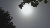 Caldo, in arrivo la prima fiammata