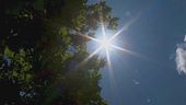 Caldo rovente, scatta l'allerta
