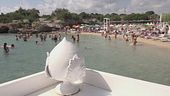 Solstizio d'estate, tutti al mare