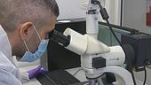Mancano dati per ricostruire il dna