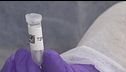Chiara, c'è un nuovo dna maschile