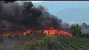 Sos incendi, l'Italia brucia