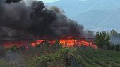 Sos incendi, l'Italia brucia