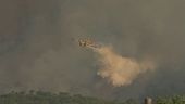 Fiamme e fumo, brucia il Vesuvio