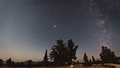 La notte delle stelle cadenti