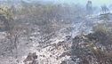 Il Vesuvio ancora in fiamme