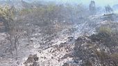Il Vesuvio ancora in fiamme